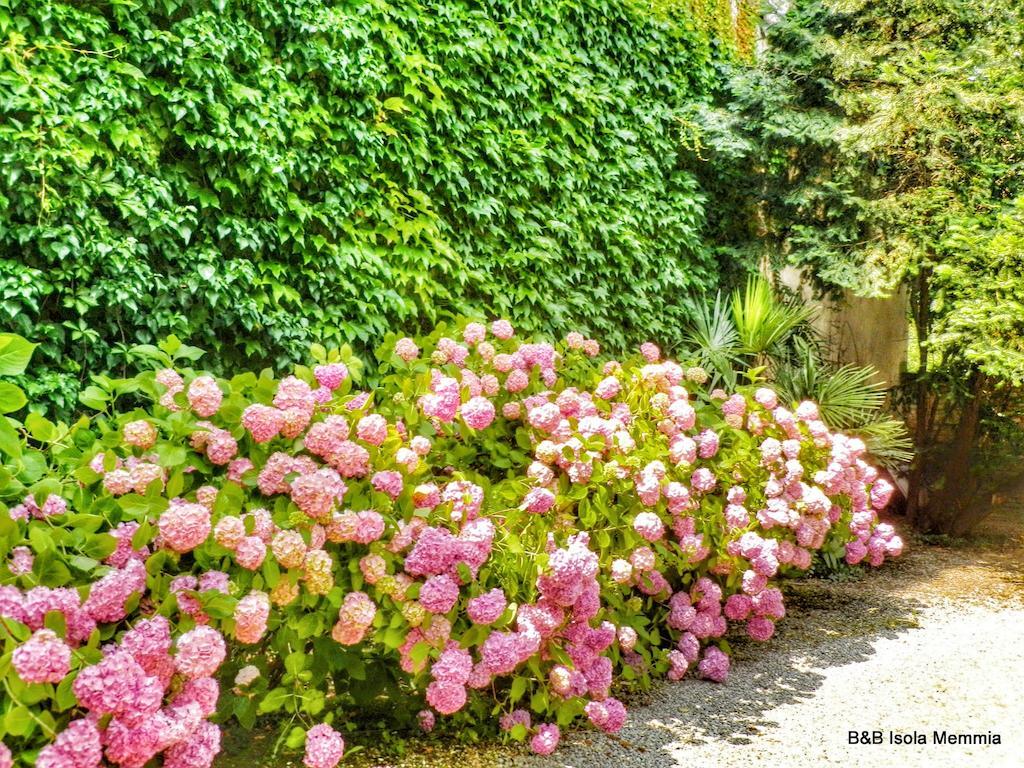 Bed and Breakfast Isola Memmia Padua Exterior foto